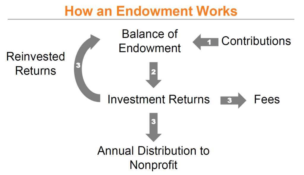 endowment infographic