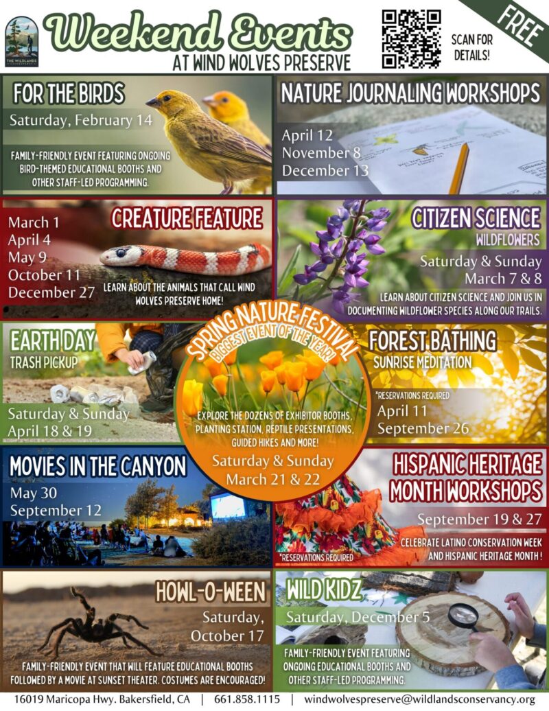 Big Weekend Events Calendar 2026
